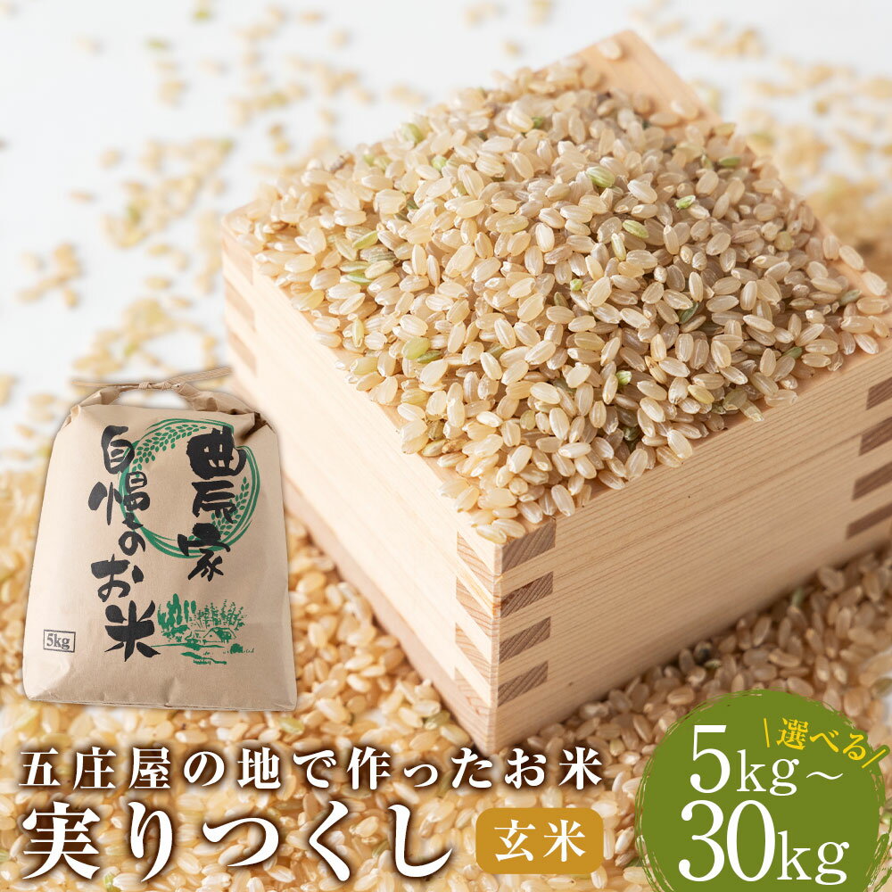 【ふるさと納税】＜選べる内容量＞五庄屋の地で作ったお米 実りつくし 玄米 5kg / 10kg / 30kg お米 こめ コメ 単一原料米 ごはん ご飯 美容 健康 食物繊維 ビタミンB1 B2 福岡県産 国産 福岡県 うきは市 送料無料