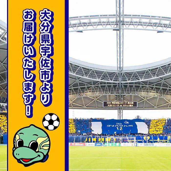 大分トリニータ ホームゲームロイヤルシート観戦体験 (ペアチケット) Jリーグ サッカー trinita 体験 チケット 観戦チケット【116300300】【大分フットボールクラブ】