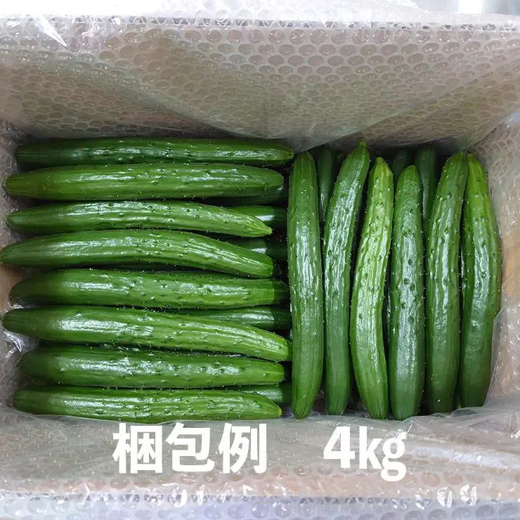 【クール冷蔵】新鮮きゅうり4kg【特別栽培農産物】 きゅうり