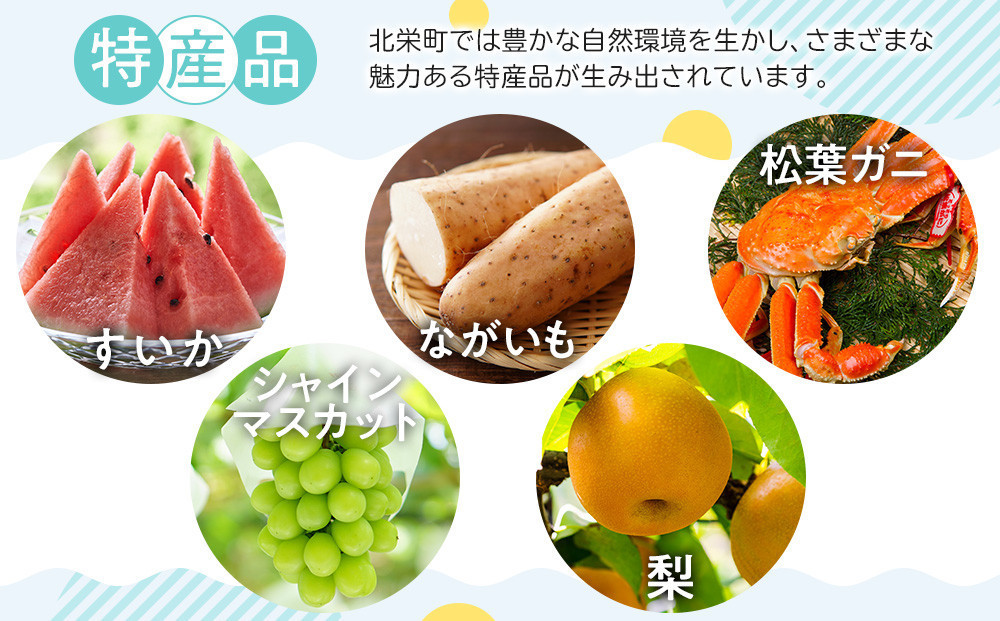 【お歳暮用】429.焼酎の飲み比べセット【Ｃ】【12月上旬以降お届け】