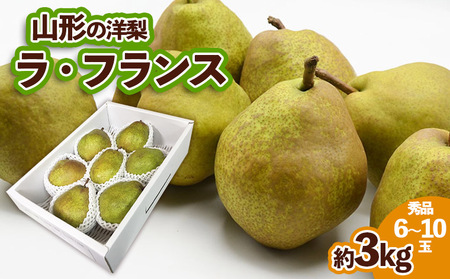 山形の洋梨ラフランス 秀品 約3kg (6～10玉)【令和8年産先行予約】FS25-736