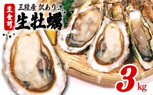 【スピード発送】 訳あり 生食 殻付き 牡蠣 3kg かき カキ kaki 牡蠣 冷凍 岩手県産 殻付き牡蠣 生食 訳あり わけあり 大きさ不揃い 不揃い 三陸 三陸産 すぐ 届く スピード 配送 株式会社國洋 岩手県 大船渡市