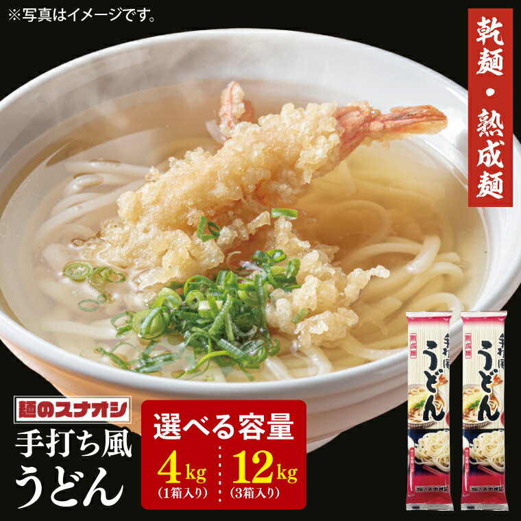 【ふるさと納税】【選べる内容量】【麺のスナオシ】リピーター続出！手打風うどん1箱 4kg(200g×20袋) or 3箱 12kg(200g×60袋)（乾麺）【饂飩 麺 長期保存 保存食 防災 人気 大容量 水戸市 茨城県】（BY-7）