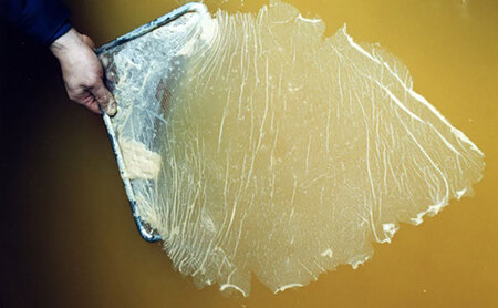 【季節の変わり目に】酢酸菌入りにごり酢3本セット（約2か月半分）