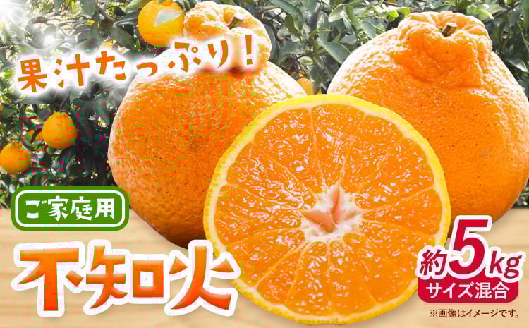 
            みかん 不知火 ご家庭用 5kg サイズ混合 GOGO農園《2026年1月下旬-3月末頃出荷》 和歌山県 日高川町 しらぬい みかん 柑橘 蜜柑 フルーツ 送料無料 st-p
          