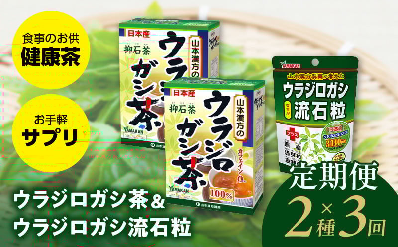 
＜3ヶ月連続定期便＞ウラジロガシ茶＆ウラジロガシ 流石粒
