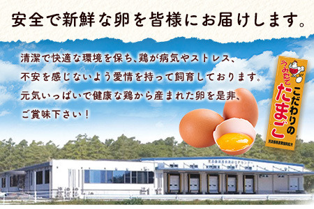 【定期便 12か月】 卵 30個 E253