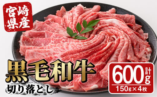 
宮崎県産黒毛和牛切り落とし(600g・300g×2P)【SJ009】【日本ハムマーケティング株式会社】
