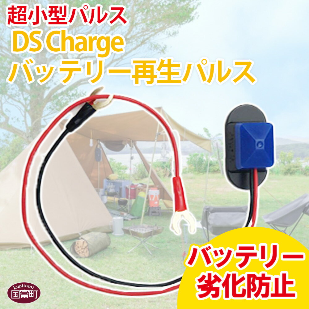 【ふるさと納税】＜超小型パルス DS Chargeバッテリー再生パルス＞※入金確認後、2か月以内に順次出荷します。 防災グッズ 自動車 バイク 資源保護 DSチャージャー バッテリー再利用 長寿命 株式会社関谷 送料無料 宮崎県 国富町 0606_sk