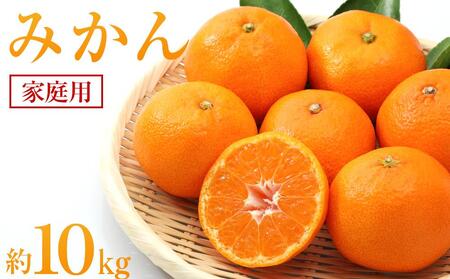 みかん 約10kg（家庭用）【2025年11月下旬から発送】