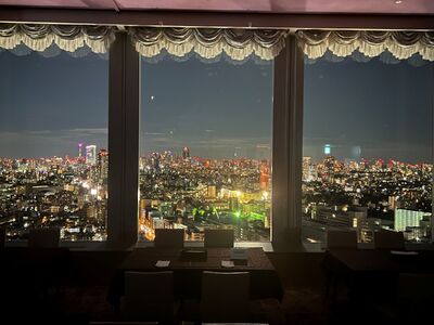 オークラレストランスカイキャロット お食事クーポン券（ふるさとチケット）3,000円分 [三軒茶屋駅徒歩3分] チケット 利用券 お食事券 レストラン ギフト プレゼント 贈り物 ご褒美 ランチ ディ
