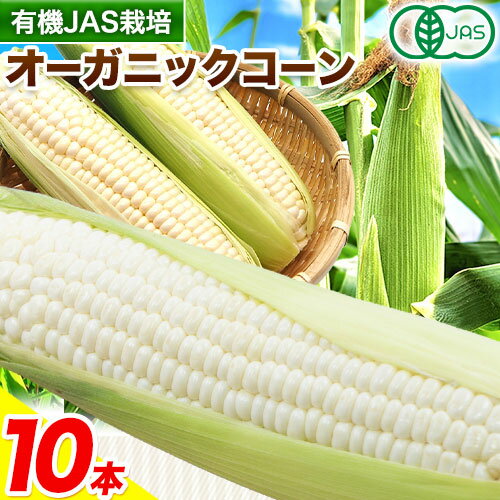 【ふるさと納税】オーガニック ホワイトコーン 10本 伊場ファーム 北海道十勝浦幌町産 朝もぎたて とうもろこし 旬の時期にお届け 朝採り【2025年8月下旬-9月中旬より順次出荷】