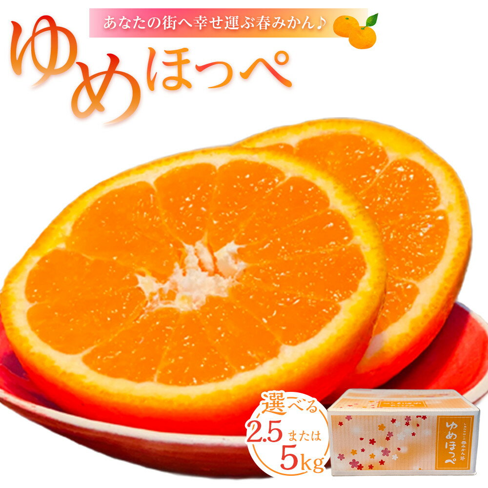 【ふるさと納税】【選べる2.5kg/5kg】〈2026年3月より順次発送〉山口県周防大島町からあなたの街へ幸せ運ぶ春みかん《ゆめほっぺ》