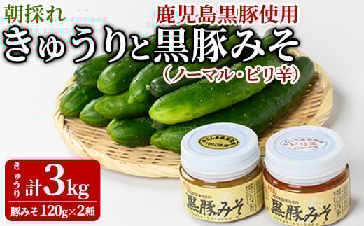 
            【0105905a】＜数量限定＞朝採れ！新鮮！きゅうり(3kg) と物産館おススメ黒豚みそ(計240g・120g×2種) セット キュウリ 採れたて 野菜 鹿児島黒豚 【東串良物産館ルピノンの里】
          