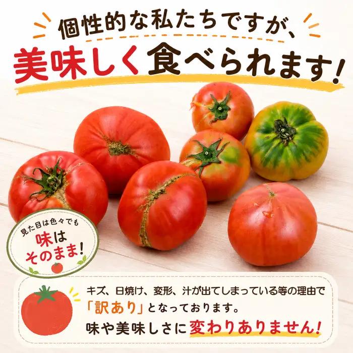 【 訳あり 】 スーパーフルーツトマト 大箱 約2.6kg × 1箱 【2027年発送】