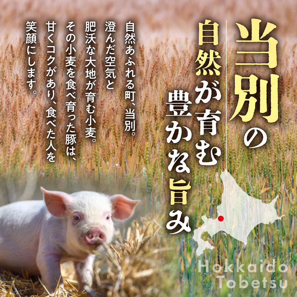 浅野農場厳選豚肉ブロック食べ比べセット【６ヶ月定期便】 豚肉 豚肉ブロック 豚肉食べ比べ 豚ロース 豚バラ 豚モモ_tb02-015