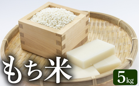 《令和8年産》モチ米 5kg こめ コメ おこめ 精米 お米 ごはん おコメ AS003