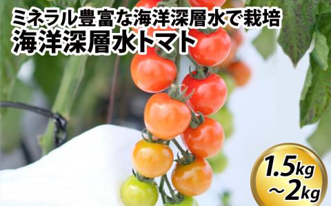 【期間限定】海洋深層水トマト【先行予約】/ ミニトマト ミディトマト 海洋 深層水 ミネラル 1.5kg 2kg 甘い 大容量 たっぷり