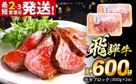 飛騨牛 モモ ブロック 600g (300g×2個) 多治見市 / 養老ミート 飛騨牛 牛肉 和牛 冷凍 赤身 和牛 ギフト [THG009]