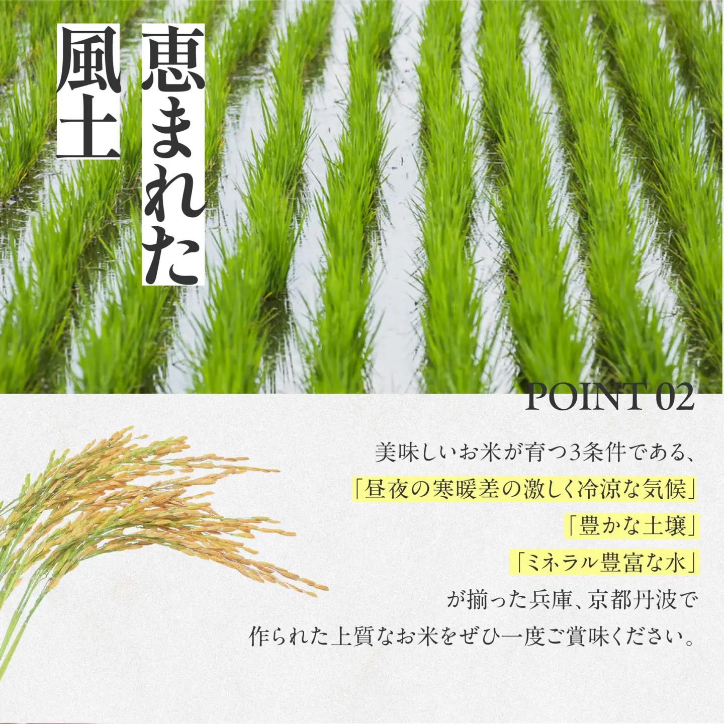 【コシヒカリ】令和7年産 白米20kg【5営業日以内に発送】