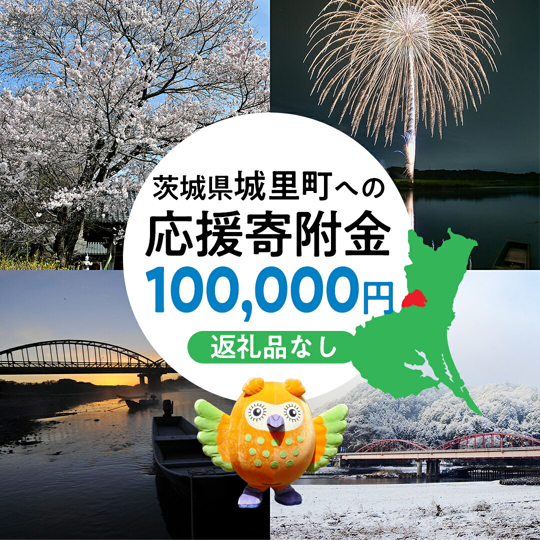 【ふるさと納税】【 返礼品なし 】 茨城県 城里町 ふるさと応援寄附金 ( 100,000円 )