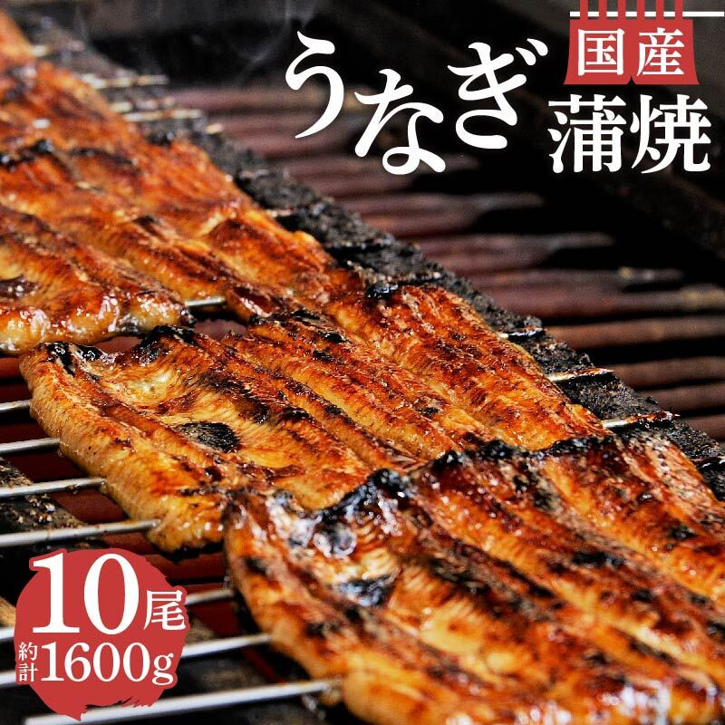 
            国産 うなぎ 蒲焼 10尾 1600g お吸い物 タレ 山椒鰻 冷蔵 匠 セット 真空 小分け 丑の日 沼津 うなよし 静岡
          