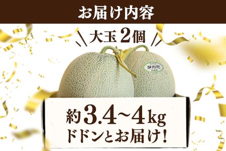【2027年4月中旬〜発送】タカミ メロン (極み)大玉 2個 (計3.4kg〜4kg) 果物 フルーツ 貴味 メロン 001-0659