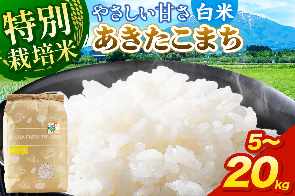 
                  米【特別栽培米】あきたこまち 白米 【選べる 5kg～20kg】令和7年産 青森県弘前市産 [5キロ 小分け あきたこまち 特別栽培米 白米 精米 ブランド米 青森県 弘前市産]
                