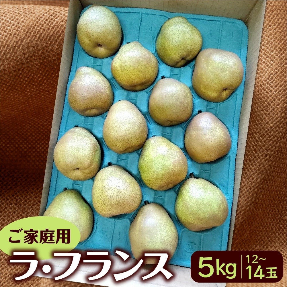
                  西洋梨（ラ・フランス）５ｋｇ　１２～１４玉　ご家庭用　0042-2609
                
