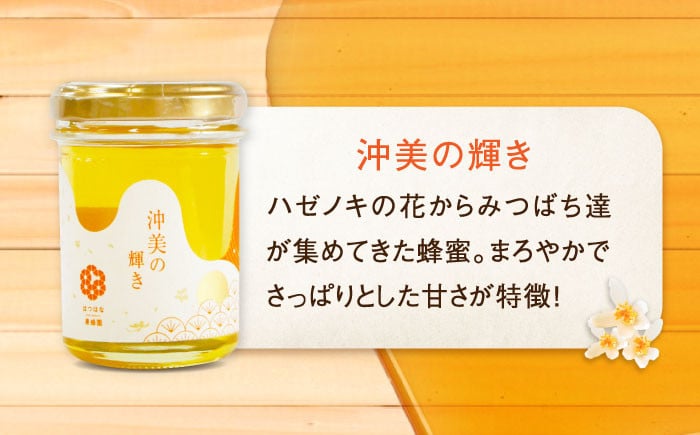 【全3回定期便】江田島産100％ はちみつ 沖美の輝き120g×6本セット ハチミツ 蜂蜜 国産 広島 江田島