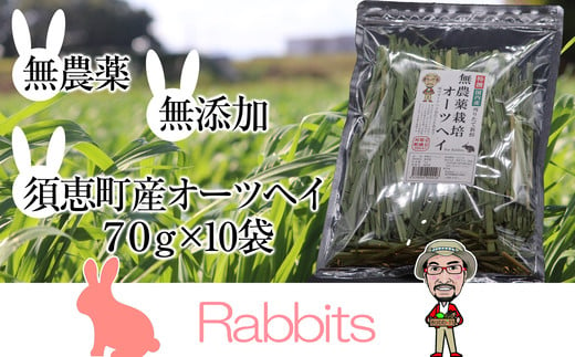 
【 無農薬栽培 ・ うさぎ用 ペットフード 】 特選 オーツヘイ 70g×10袋 RB003-1
