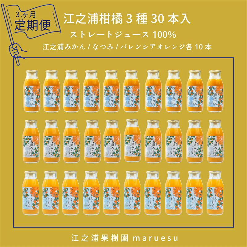 【ふるさと納税】【定期便 3回】 小田原産江之浦みかんジュース3種のみくらべ30本セット うんしゅう・なつみ・バレンシアオレンジ100％ストレートジュース180ml各10本合計30本