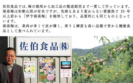 梅干「媛幸梅」はちみつ　750ｇ｜ 伊予南高梅