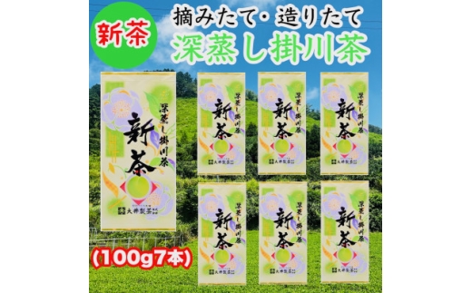 ＜2026年5月下旬より順次発送＞新茶　深蒸し掛川茶　旬の香り・味をお届けします。100g×7本【1679952】