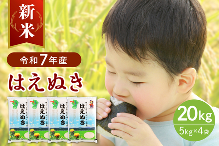 【令和7年産米】2025年10月下旬発送 はえぬき20kg 山形県産 【JAさがえ西村山】先行受付 米 送料無料 ブランド米 白米 精米 こめ ライス ごはん ご飯 おにぎり 弁当 食品 山形県 河北町