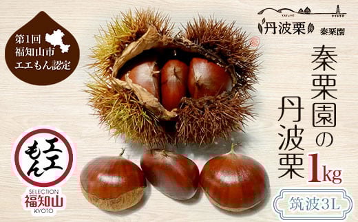 
            【10月上旬発送】秦栗園の丹波栗 筑波3L 1㎏【第1回福知山市ええもん認定】 大粒  ふるさと納税 栗 くり 人気 和 スイーツ 高級 和菓子 栗菓子 ギフト プレゼント お取り寄せ グルメ 京都府 福知山市　※沖縄・離島配送不可
          