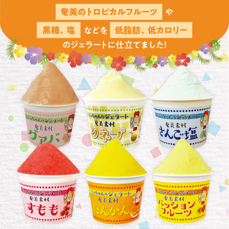 奄美産素材使用ジェラート　12個入り