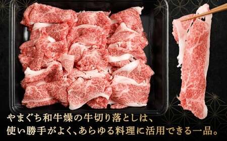 【やまぐち和牛燦】 牛切り落とし 約500g 牛切り落とし 切り落とし 牛肉 冷凍 福岡県 北九州市