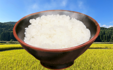 米 令和6年産　信州芋井産あきたこまち精米10kg（5kg×2）お米 ごはん コメ 白米 精米 お取り寄せ 信州 長野