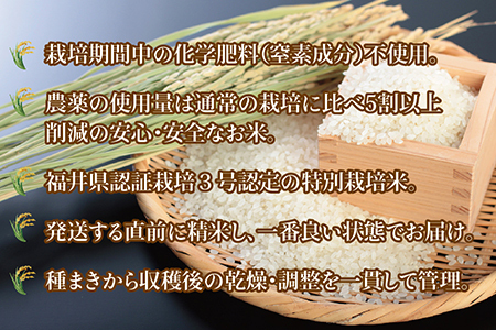 〈新米〉減農薬米 こしひかり 6kg ／令和5年福井県産 （白米）