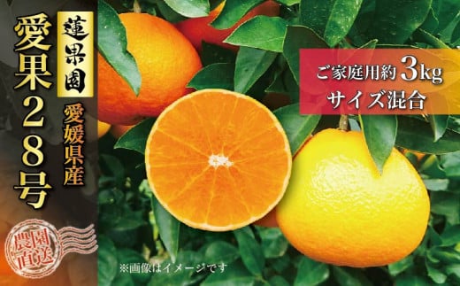 【先行予約】2024年12月中旬から発送 あいか ご家庭用 3kg 愛果28号 | 柑橘 みかん 果物 くだもの フルーツ おすすめ 高級 人気 お取り寄せ グルメ ギフト 期間限定 数量限定 ご当地 愛媛県 松山市