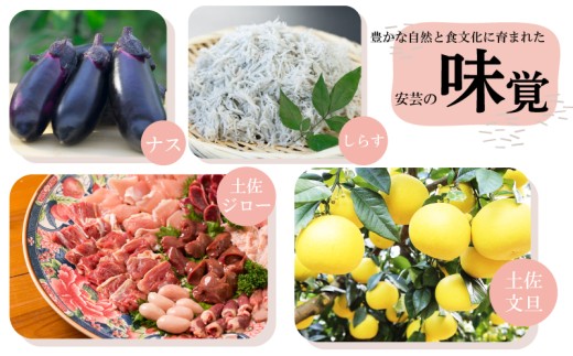 【先行予約】 クリスマスギフト 焼き菓子 詰め合わせ 1個 焼菓子 クッキー 菓子 洋菓子 焼き菓子 お菓子 おかし スイーツ すいーつ おやつ 手作り ドルチェ デザート ギフト 詰め合わせ セット クリスマス プレゼント 贈り物 贈答 ご褒美 お取り寄せ 人気 安芸市 高知県