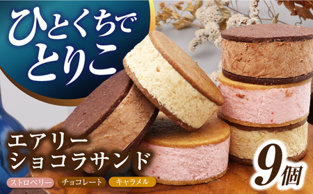 エアリーショコラサンド9個[EBV049] 焼菓子焼菓子焼菓子焼菓子焼菓子焼菓子焼菓子