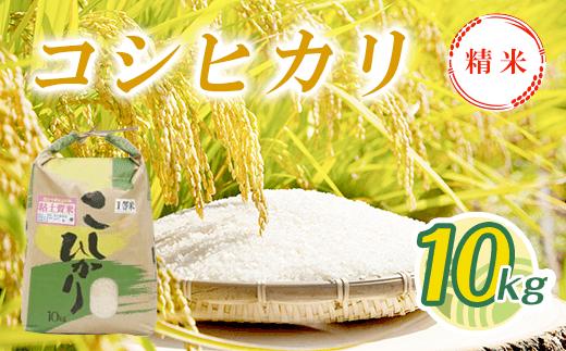 
            【新米】令和7年産 コシヒカリ精米 10kg T01530
          