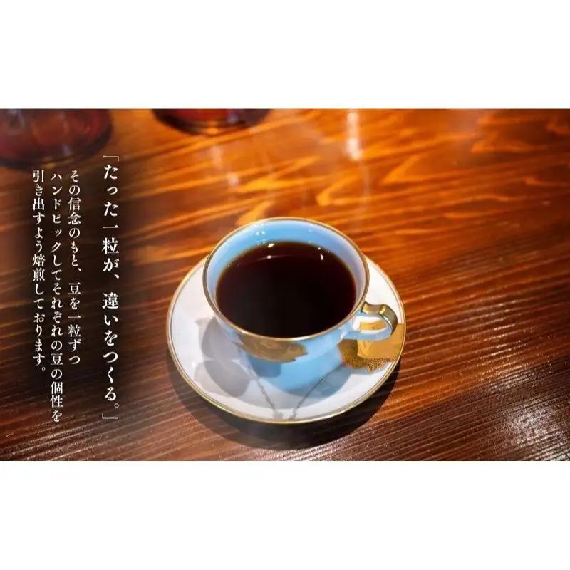 コーヒー 自家焙煎 おまかせ 3種 定期便 コーヒー