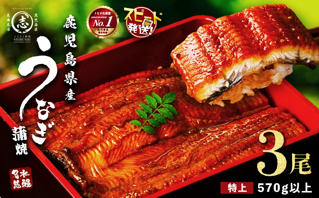 鹿児島県産うなぎ蒲焼 名水慈鰻 特大3尾(1尾190g以上)＜計570g以上＞