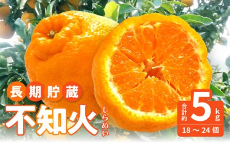 【ふるさと納税】数量限定【5月以降出荷】夏季まで美味しさを保つ、長期貯蔵「不知火」約5kg