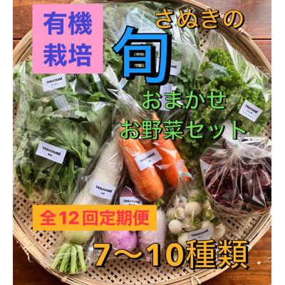 ふるさと納税 さぬき市 【毎月定期便】さぬき市小田産の食を楽しむTAGATAMEのお任せお野菜セット7〜10品全12回