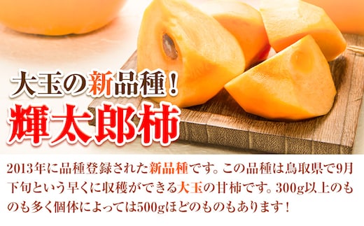輝太郎柿 3kg 7〜10玉 秀品 先行予約《10月上旬-10月下旬頃出荷》JA鳥取いなば 鳥取県 八頭町 柿 かき カキ くだもの くだもの 果物 青果物 フルーツ