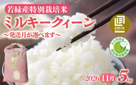 【先行予約】ミルキークイーン 5kg【2026年11月発送】/ 新米 令和8年産 白米 精米